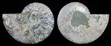 Polished Ammonite Pair - Agatized #59439-1